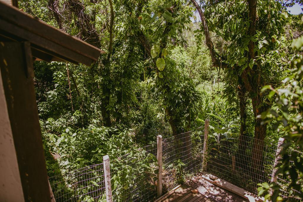 Pousada Lembranca Florianópolis Eksteriør bilde